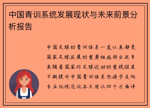 中国青训系统发展现状与未来前景分析报告